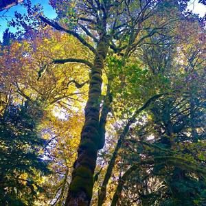 Meet your Posher, Ann